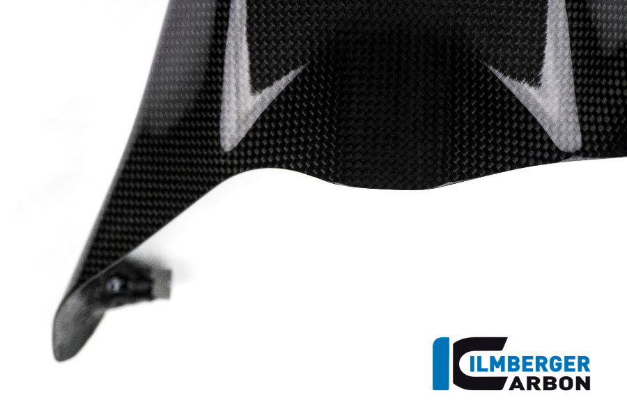Rear fender Ducati Monster 1200
