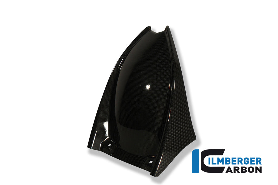 Rear fender carbon