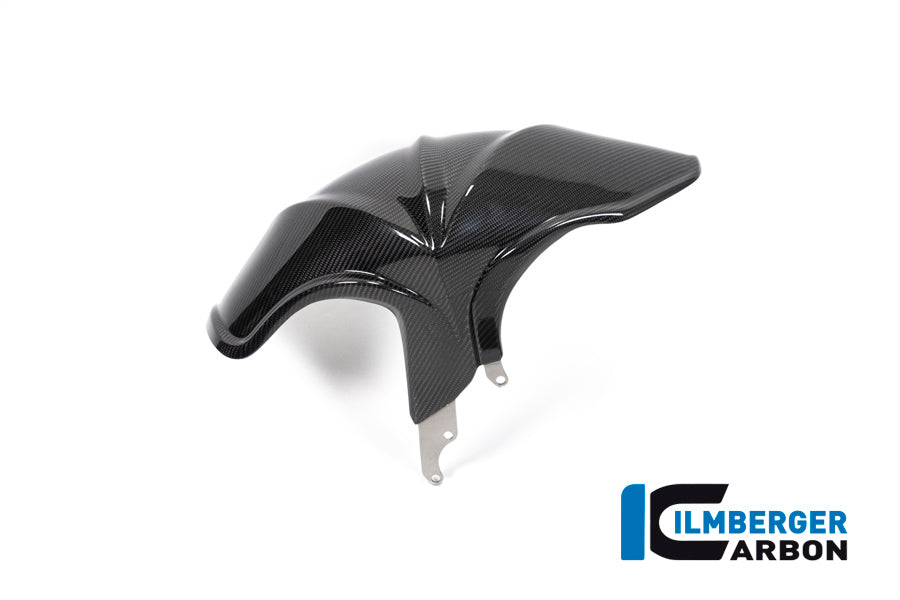 Rear Hugger BMW R 1250 R (LC) 2019