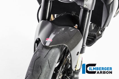 Front fender Ducati Monster 1200