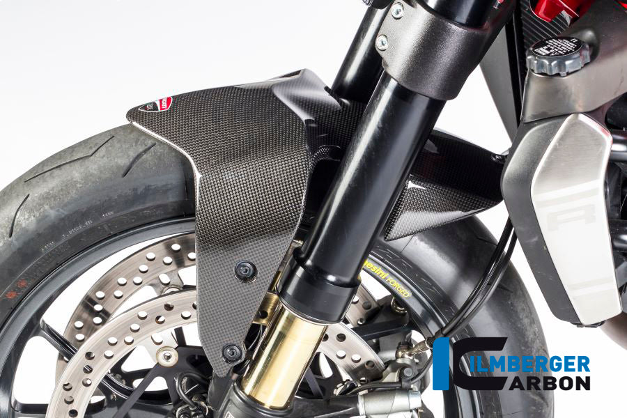 Front fender Ducati Monster 1200