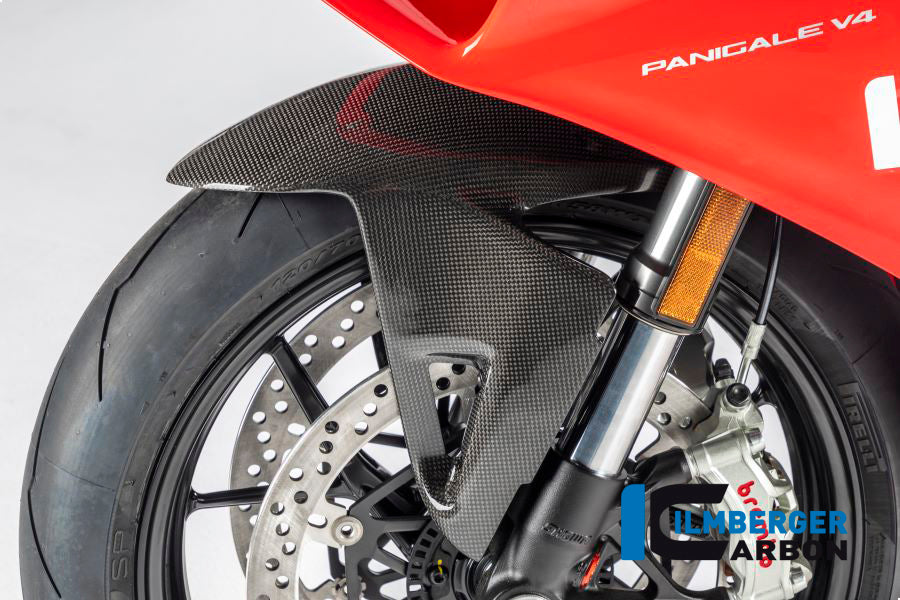 Front Mudguard Streetfighter/Panigale V4 / V4 S / V4 R / V2