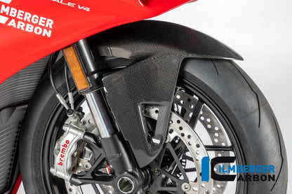 Front Mudguard Streetfighter/Panigale V4 / V4 S / V4 R / V2