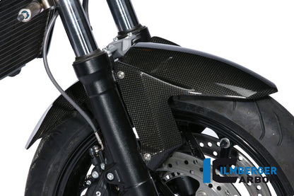 Front fender carbon BMW F 800 R