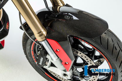 Front fender carbon BMW R 1200 R