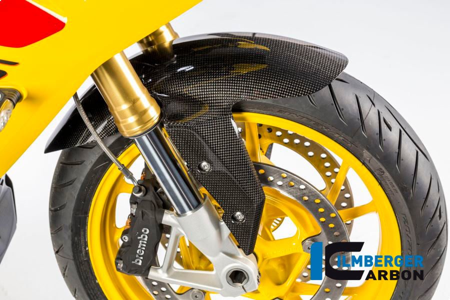 Front fender carbon BMW R 1200 R