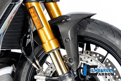 Front Mudguard Diavel 1260