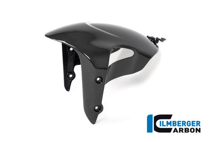 Front Mudguard Diavel 1260