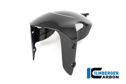 Front Mudguard Diavel 1260