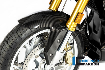Front Fender BMW R 1250 R MY from 2019