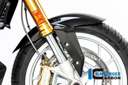 Front Fender BMW R 1250 R MY from 2019