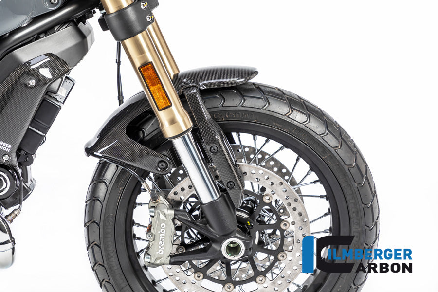 Front Mudguard surface Ducati Scrambler 1100 from 2017