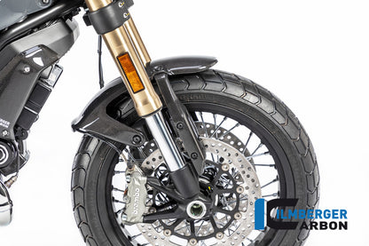Front Mudguard surface Ducati Scrambler 1100 from 2017