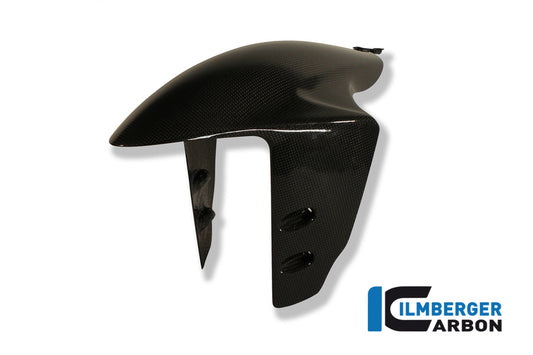 Front fender Ducati Panigale 1199 / Ducati 1299