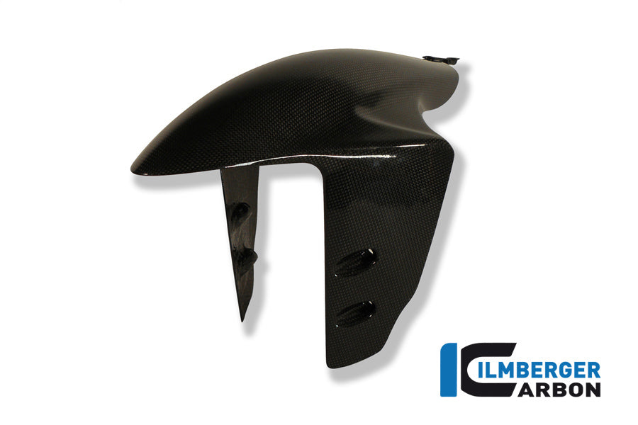 Front fender Ducati Panigale 1199 / Ducati 1299