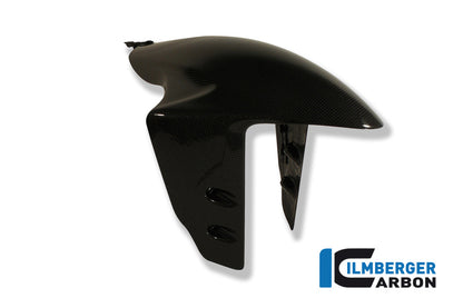 Front fender Ducati Panigale 1199 / Ducati 1299