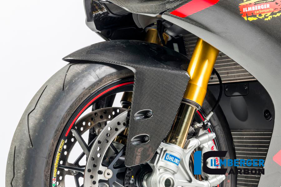 Front fender Ducati Panigale 1199 / Ducati 1299