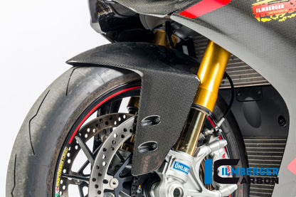 Front fender Ducati Panigale 1199 / Ducati 1299