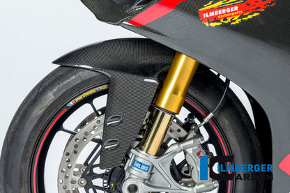 Front fender Ducati Panigale 1199 / Ducati 1299