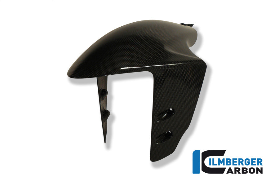Front fender Ducati Panigale 1199 / Ducati 1299
