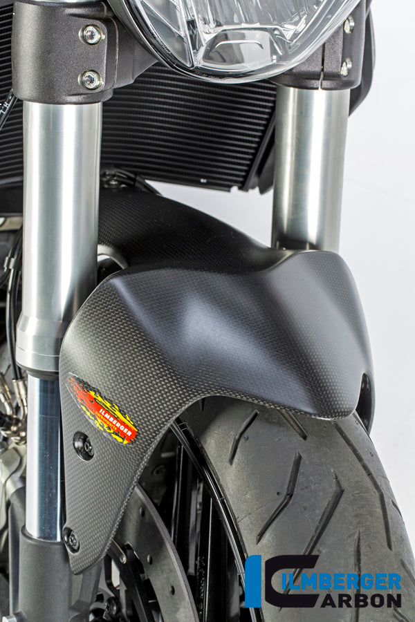 Front fender Ducati Monster 1200