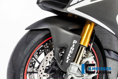 Front Mudguard Streetfighter/Panigale V4 / V4 S / V4 R / V2