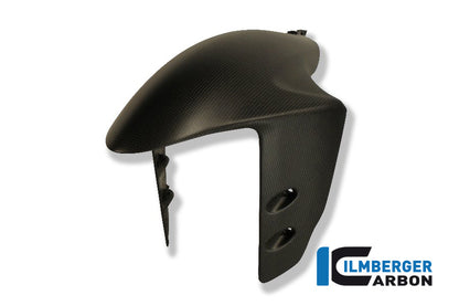Front fender Ducati Panigale 1199 / Ducati 1299