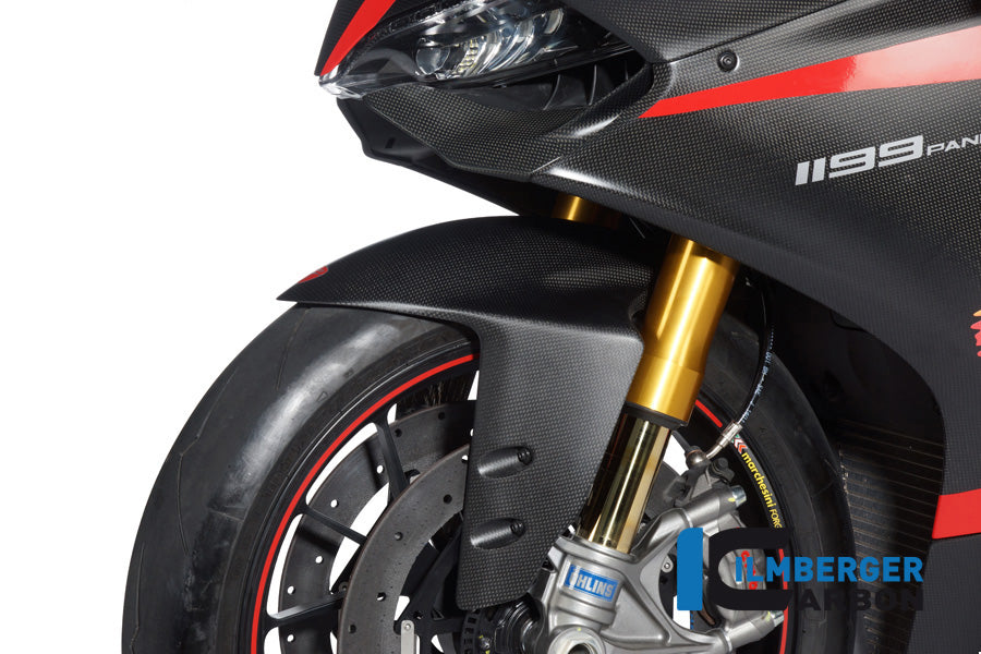 Front fender Ducati Panigale 1199 / Ducati 1299