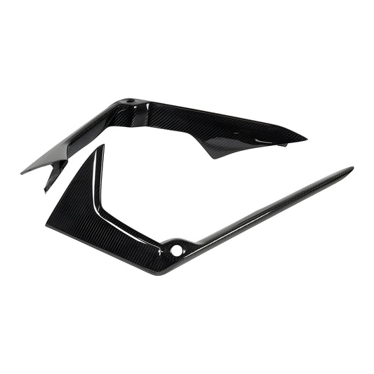 Lamborghini Revuelto Front cover visible carbon