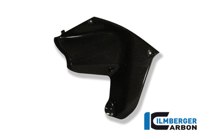 Air deflector on left tank side panel carbon