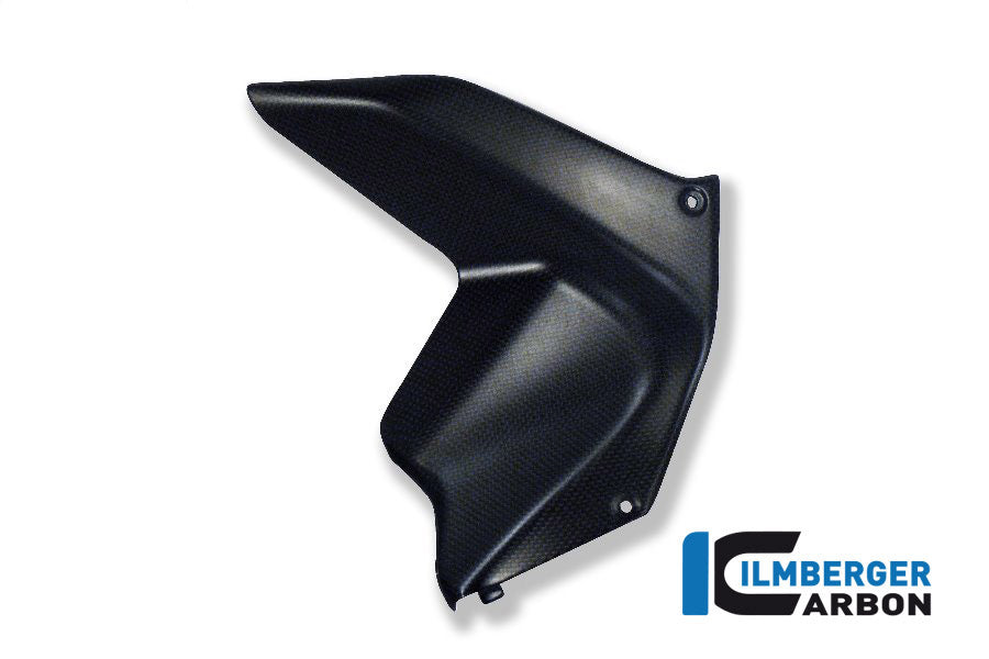 Air deflector on tank side panel right carbon