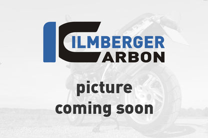 Alternator cover Ducati Panigale 1299 (from 2015)