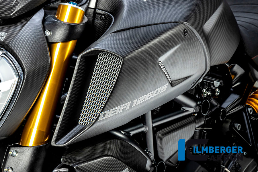 Airtube cover left side Diavel 1260