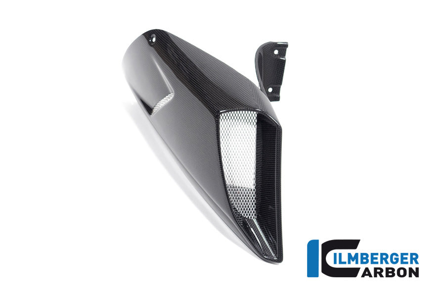 Airtube cover right side Diavel 1260