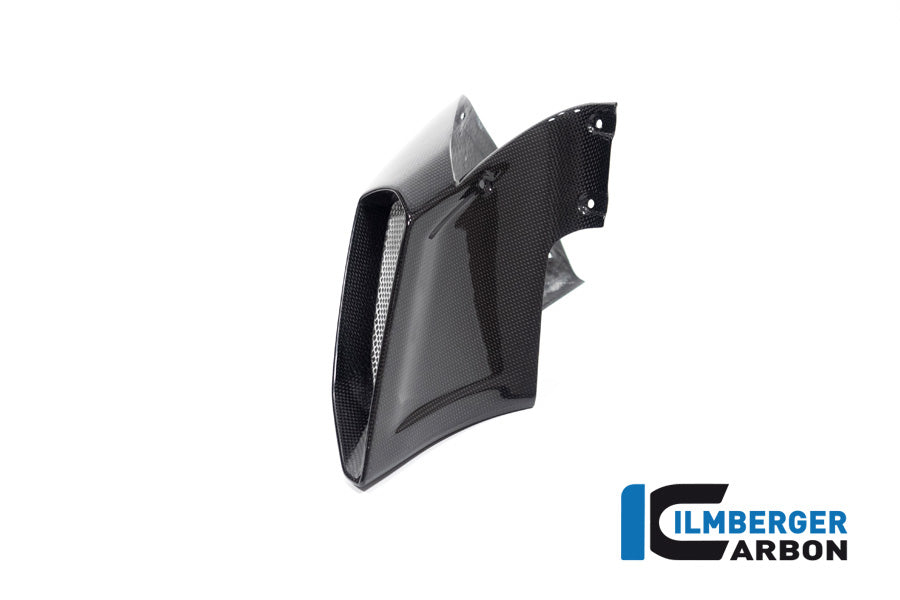 Airtube cover right side Diavel 1260