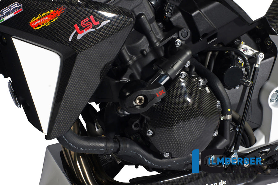 Alternator cover carbon
