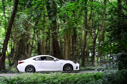 Lexus RC F Sport Rear sections