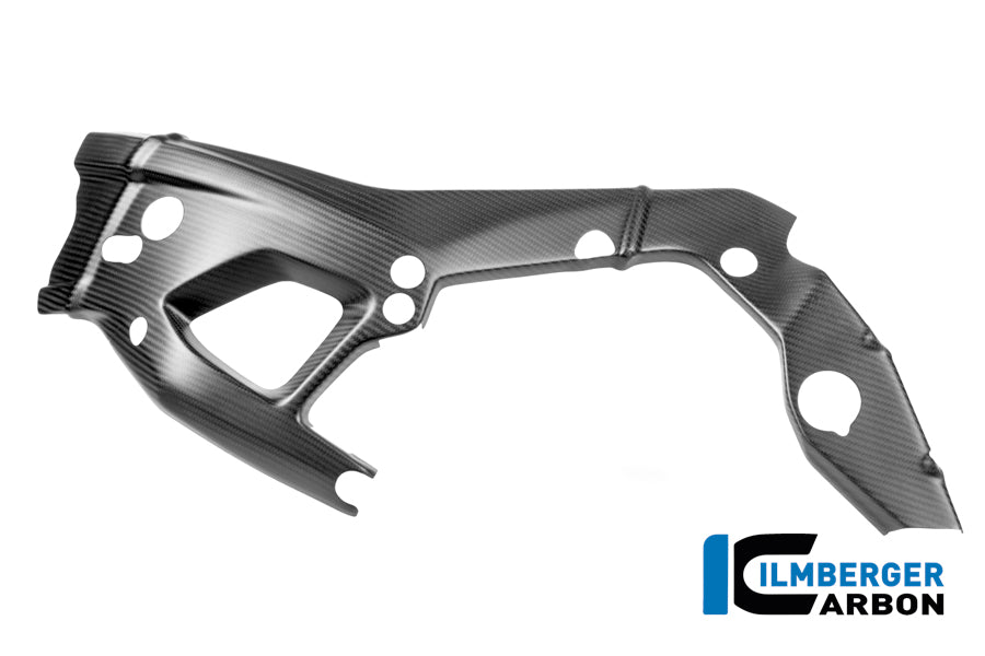 Frame Protector Left M 1000 RR Street (from 2025)