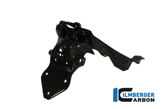 License Plate Holder Carbon
