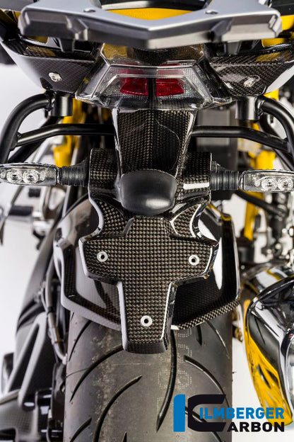 Numberplateholder Carbon - BMW R 1200 R (LC) from 2015 / BMW R 1200 RS (LC) from 2015