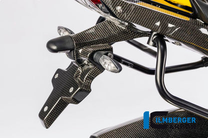 Numberplateholder Carbon - BMW R 1200 R (LC) from 2015 / BMW R 1200 RS (LC) from 2015
