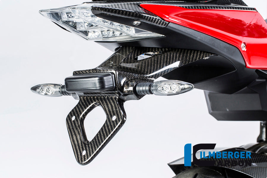 License plate holder carbon