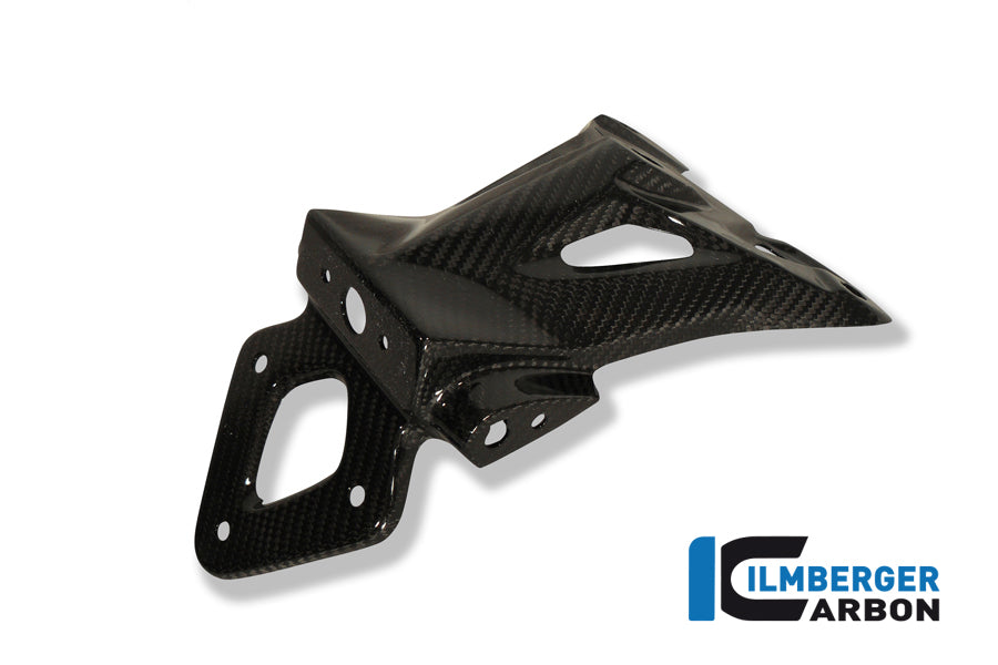 License plate holder carbon