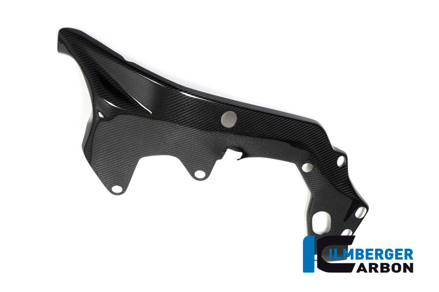 Frame Protector left side BMW HP4 RACE