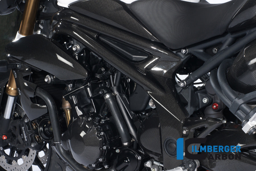 Frame cover left carbon