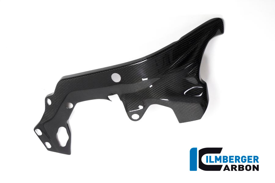 Frame Protector right side BMW HP4 RACE