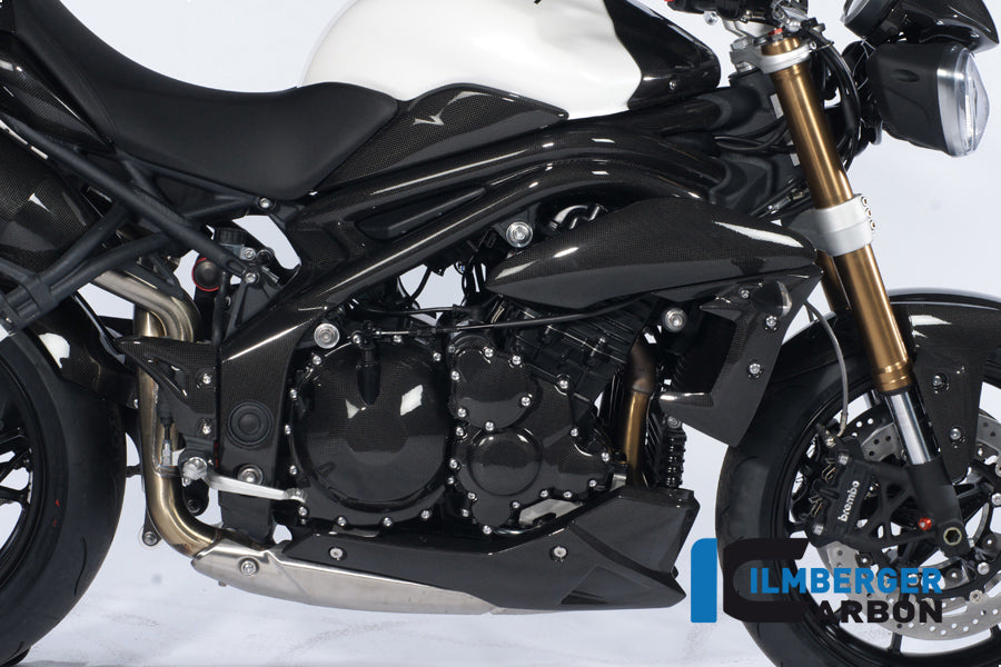 Right frame cover carbon