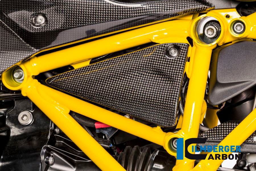 Frame triangle cover left Carbon