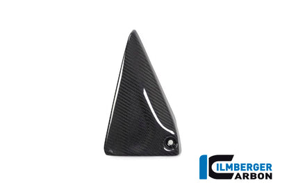 Frame Triangle Cover left Side BMW R 1250 GS / R 1250 R and RS