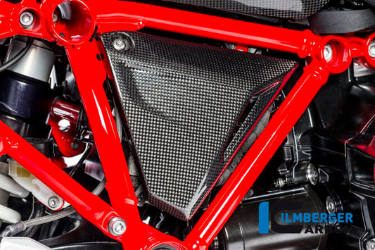 Frame triangle cover right Carbon